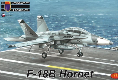 1/72 F-18B Hornet