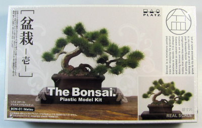 Bonsai 1 - Platz