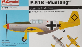 1/72 P-51B Mustang Captured