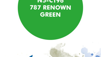 787 Renown Green Paint for airbrush 30ml - Number Five