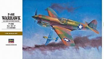 P-40E WARHAWK (1:32) - Hasegawa