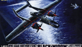 WWII USAAF Northrop P-61B 'Black Widow' Last Shoot Down 1945 1/48 - G.W.H.