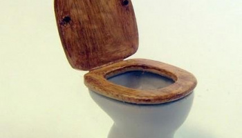 1/35 Toilet bowl
