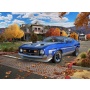 71 Ford Mustang Boss 351 (1:25) - Revell