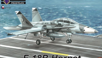 1/72 F-18B Hornet