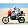 BMW R80 G/S Paris-Dakar 1985 / Pilot  Decals 1/12 - Blue Stuff