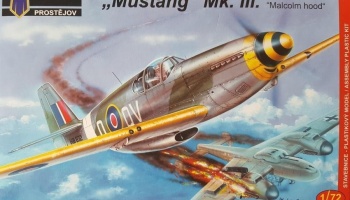 1/72 N.A.Mustang Mk.III Malcolm