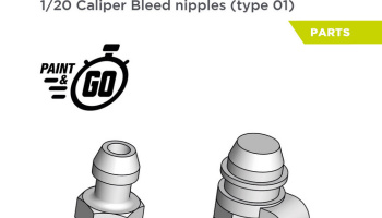 Caliper bleed nipples - Type 01 1/20 - Decalcas