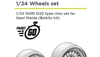 Nori D20 15 inches 1/24 - Decalcas