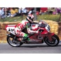 DUCATI 888 Team GROTTINI / D. Tardozzi 91'  Decals 1/12 - Blue Stuff