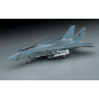 F-14A Tomcat Low Visibility (1:72) - Hasegawa
