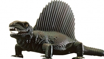 Gift-Set dinosaurus - Dimetrodon (1:13) - Revell