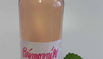 Rýmovník Sirup - granátové jablko 500ml - Rýmovník sirup shop