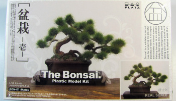 Bonsai 1 - Platz