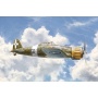 Macchi Mc.200 1a serie (1:48) - Model Kit letadlo 2815 - Italeri