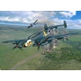 Messerschmitt Bf110 C-2/C-7 (1:32) Plastic ModelKit 04961 - Revell