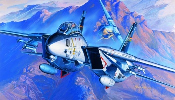 Model Kit letadlo 12471 - F-14A (1:72)