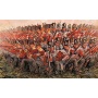 Model Kit figurky 6095 - NAPOLEONIC WARS - BRITISH INFANTRY 1815 (1:72) -Italeri