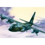 Model Kit letadlo 0015 - C-130 E/H HERCULES (1:72) - Italeri