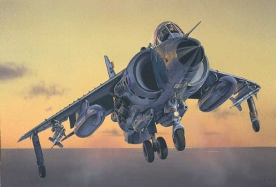 Model Kit letadlo 1236 - SEA HARRIER FRS.1 (1:72) - Italeri