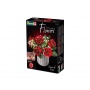 REVELL Flowers 00631 - Dream of Roses - Revell