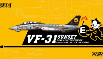 F-14D VF-31 SUNSET 1:72 - G.W.H.